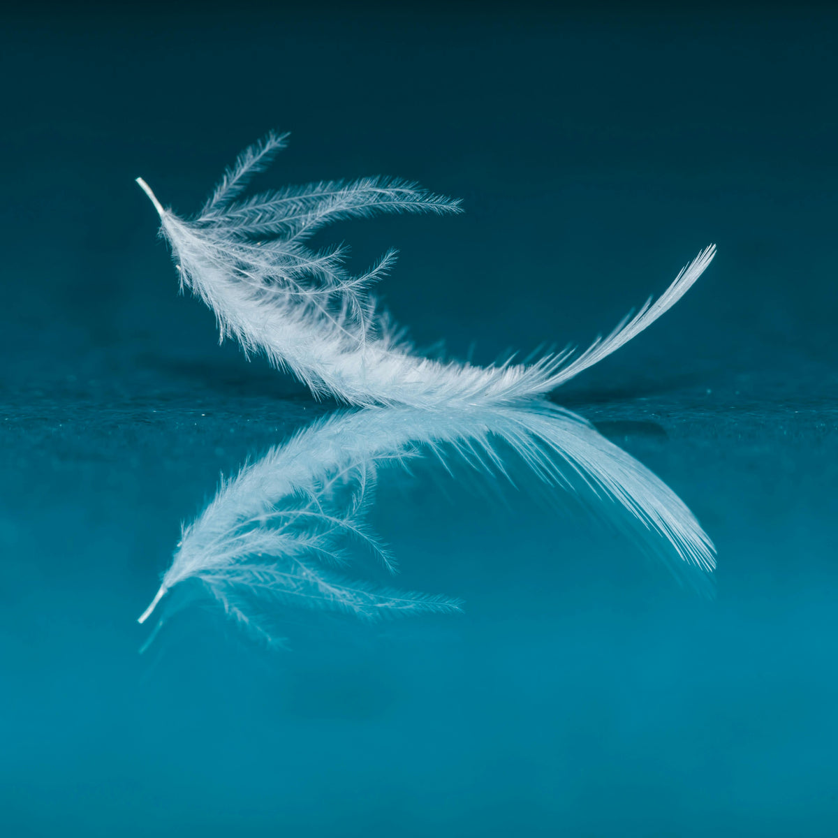 Purity Redefined
