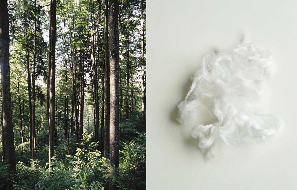 Silken Comfort, Sustainably Sourced